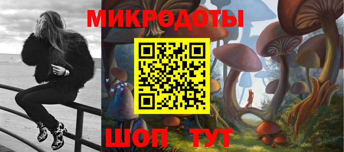 Псилоцибиновые грибы Cubensis Дербент